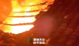 桂平市火灾最新爆料新闻,火势已扑灭，损失情况正在调查中