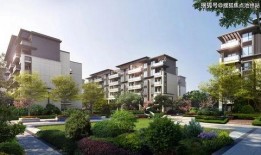 24年新瓜最新爆料销售,揭秘销售界最新动态与趋势