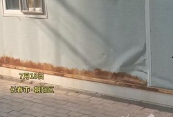 长春核酸最新爆料,揭秘疫情下的检测真相