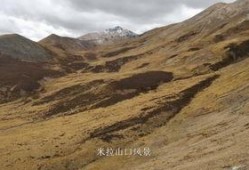 途观西藏旅游最新爆料,途观带你领略神秘高原风光