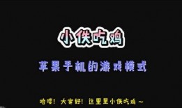 吃鸡最新玩法爆料大全,全方位解析最新爆料大全