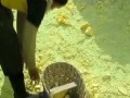 最新爆料大表姐,神秘男友身份引热议，细节揭秘