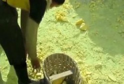 最新爆料大表姐,神秘男友身份引热议，细节揭秘